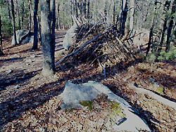 A lean-to in the woods