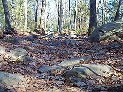 Typical rocky trail