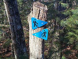 Useful trail markings